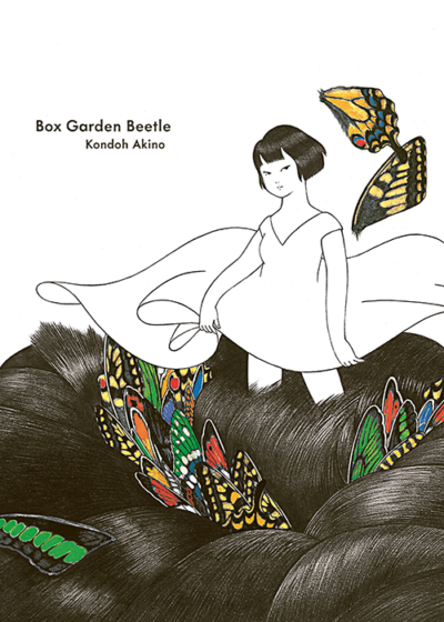 Box Garden Beetle