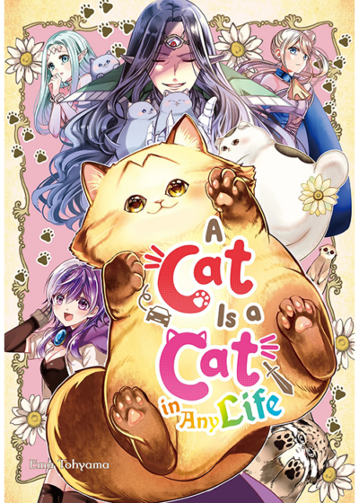A Cat is a Cat in Any Life