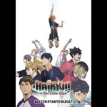 HAIKYU!!